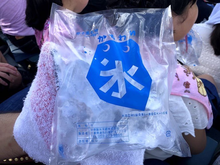 甲子園観戦の名物、それは「かちわり氷（200円）」