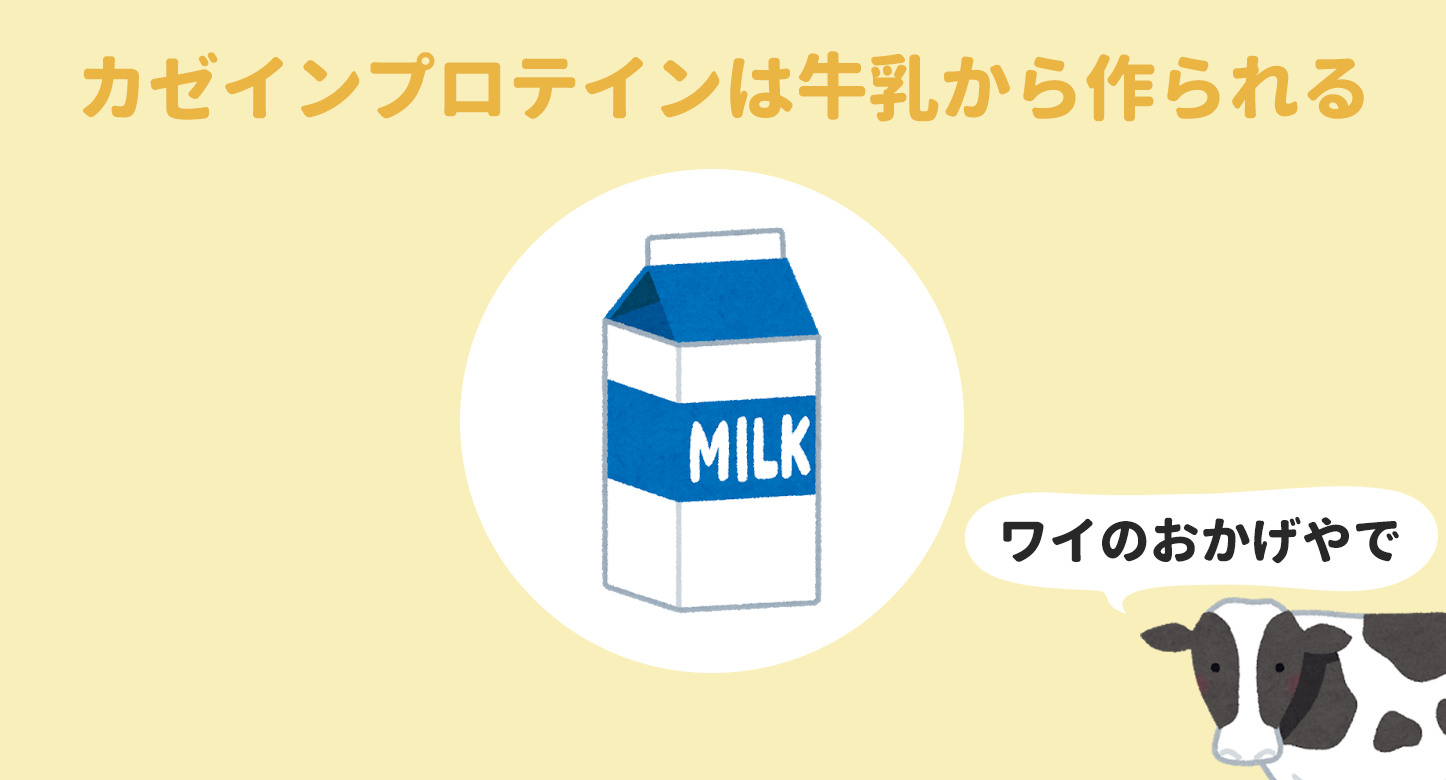 カゼインプロテインは牛乳から作られる